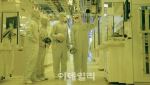'36만닉스' 결국 온다…개미 우려에도 '꽃길' 전망, 왜