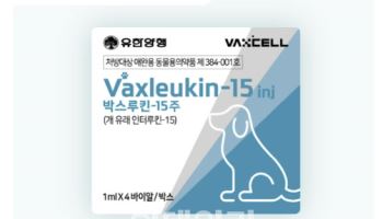 박셀바이오, 박스루킨-15 ‘림프종’까지 적응증 확대