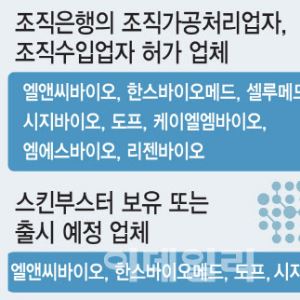 뜨거워지는 ‘ECM 스킨부스터’ 시장…호시절 끝나나