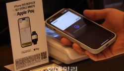 짙은 내수침체 '그림자'…상반기 카드결제 증가율, 4년 반만에 최저
