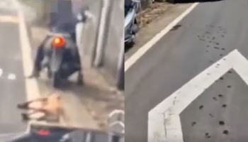 "지인 주려고…" 오토바이에 개 매달고 내달린 개주인 입건