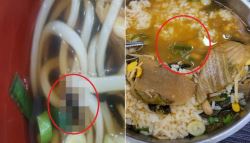 곧 추석인데…“우동 안에 귀뚜라미” 휴게소 위생 ‘비상’