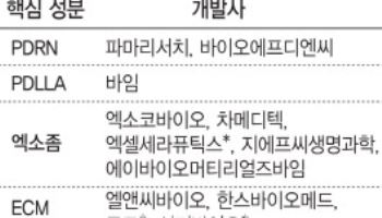 우후죽순 진입, 흔들리는 '리쥬란'...레드오션 전락하는 스킨부스터