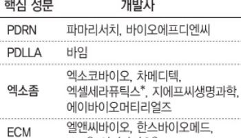 우후죽순 진입, 흔들리는 '리쥬란'...레드오션 전락하는 스킨부스터
