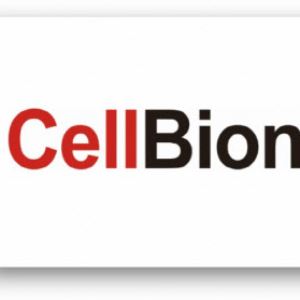 셀비온, 파스퇴르와 손잡고 GMP 신공장 착공...‘방사성치료제 상용화 가속’