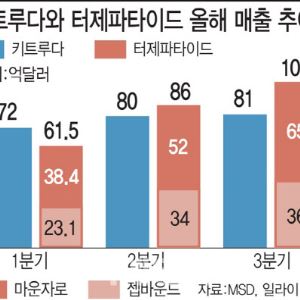 한미·디앤디·지투지 호재...키트루다 뛰어넘은 비만치료제
