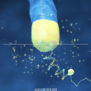 젬백스 GV1001, 알츠하이머 임상2상 결과 앞두고 확인된 결정적 두 단서