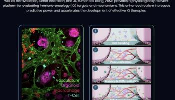 신라젠, 세계 첫 오가노이드 임상 FDA 승인 성과와 의미