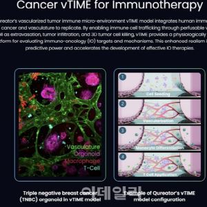 신라젠, 세계 첫 오가노이드 임상 FDA 승인 성과와 의미