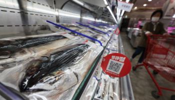 국민 생선에 무슨 일이…가격 폭등에 이것 손본다[씨뷰어]