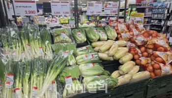 "김장재료 어디서 살까"…유통가, 김장철 할인행사