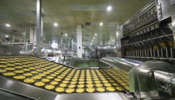 "신라면 세계관의 확장"…농심 구미공장 가보니