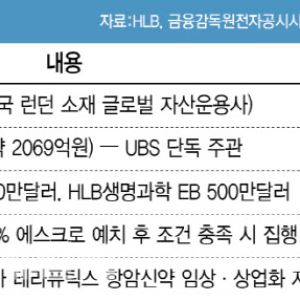 HLB에 2000억 베팅한 LMR, 투자 조건 분석해보니