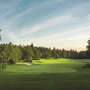 롯데스카이힐CC 제주, 잔디 교체 앞두고 60% 할인