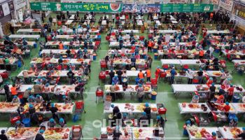 평창 고랭지 김장축제