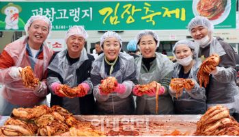 평창 고랭지 김장 체험