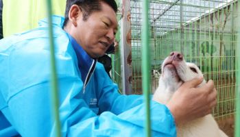 여전한 '당대포'…협치 없이 '내란 척결'만 외친 정청래 100일