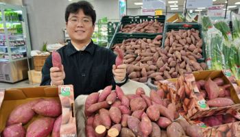 "호풍미 고구마·아리수 사과"…롯데마트, 국산 품종 판매