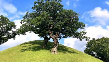 HS효성, 제2회 임직원 사진 공모전 개최