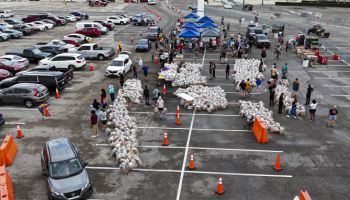 저소득층 밥줄 쥐고 줬다 뺏었다…美셧다운에 대혼란