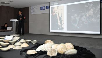 난파선 흔적? 태안 바다서 고려청자 또 나왔다(종합)