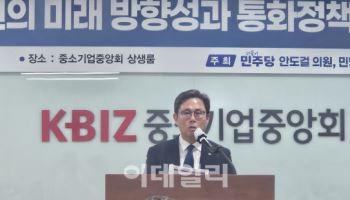 "한은 7가지 괴담논쟁 시간낭비…스테이블코인 안전하게 쓰는 것 연구해야"
