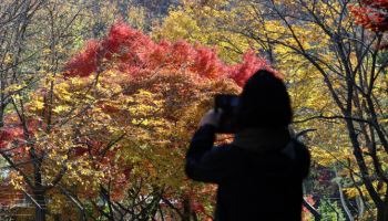 "목도리 챙기세요" 출근길 '영하 2도'…얼음 어는 곳도[내일날씨]