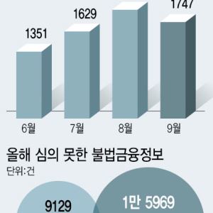 캄보디아 사태에도…불법사금융 광고 1.6만건 ‘활개’