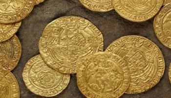 “땅만 팠는데 9억 벌었다”…집 정원서 발견한 ‘이것’