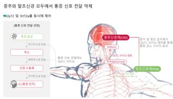 "글로벌 최초 다중 수용체 표적 비마약성 진통제 상용화"[비보존그룹 대해부②]