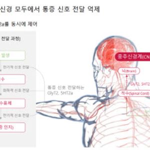 "글로벌 최초 다중 수용체 표적 비마약성 진통제 상용화"[비보존그룹 대해부②]