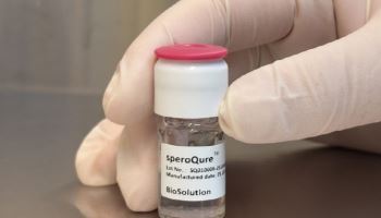 바이오솔루션, 주사형 골관절염 치료제 ‘스페로큐어’  국내 임상 신청