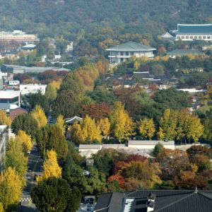 청와대 복귀 ‘솔솔’…이르면 내달 14일 전후 순차적 이전