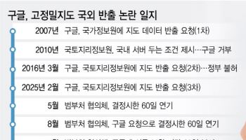 결국 해 넘긴다…구글 고정밀지도 반출 결정 3번째 미뤄진 속사정