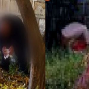 "남녀가 나란히 쭈그려 앉더니"…경복궁 '용변 테러' 파문