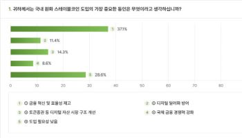 “은행 발행, 점진적 도입”…학계, 원화 스테이블코인 ‘신중론 우세’