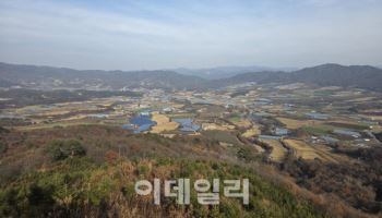 분단 아픔 깃든 'DMZ펀치볼 둘레길'..평화·생태의 길로 부활