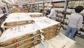 '가을장마'에 쌀 생산량, 예상보다 3.5만톤↓…남는 쌀 13만t