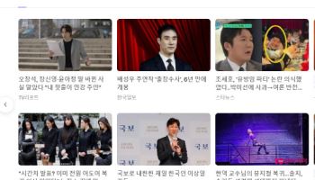 다음, 6년만에 연예 기사 '댓글' 부활