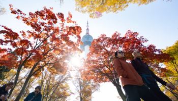 일교차 큰 늦가을 날씨 계속…아침은 쌀쌀, 낮부터 포근