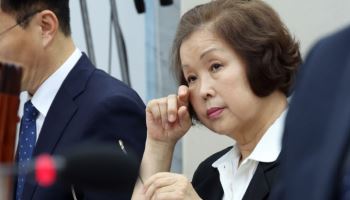 '댓글 여론조작 의혹' 손효숙 리박스쿨 대표, 검찰 송치