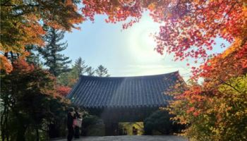 전국 맑고 일교차 큰 늦가을 날씨…"건강 관리 유의하세요"