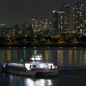 한강버스, 또 멈춤사고 발생…뚝섬선착장은 ‘무정차 통과’