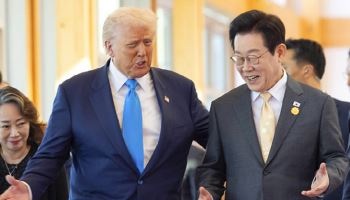 미국산車 안전기준 수입 제한 폐지…테슬라 FSD 포석되나