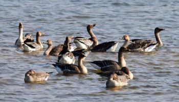 "내일 많이 추워요" 출근길 강풍에 체감온도 '뚝'[내일날씨]