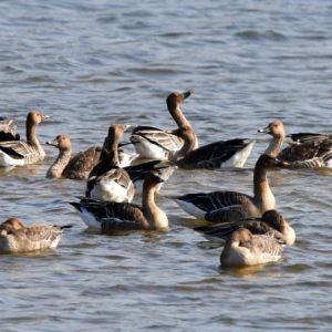"내일 많이 추워요" 출근길 강풍에 체감온도 '뚝'[내일날씨]