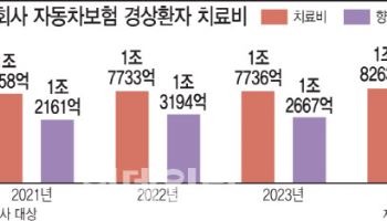 '8주 치료' 재검토 車보험개편 흔들…업계 "내년 보험료 인상 불가피"