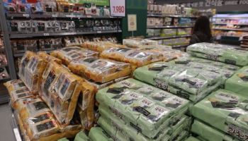 세계 입맛 홀리더니…한국의 '검은 반도체' 대박날 소식