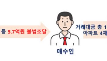 ‘5.7억 묻지마 집 쇼핑’…외국인들 해외서 돈까지 끌어왔다
