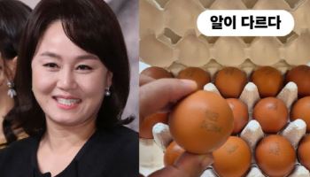 '이경실 달걀' 가격 논란..."'4번' 닭에게 좋은 원료 먹인다"